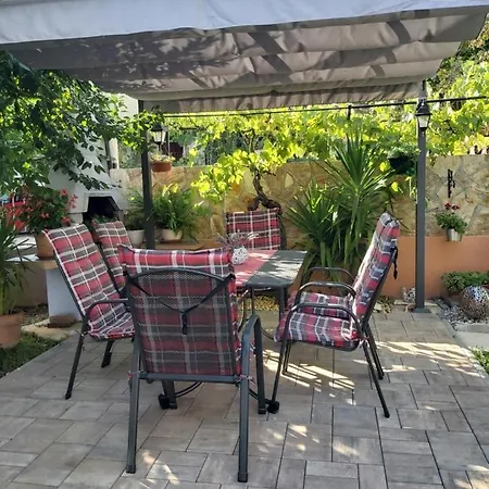 Toni זאדאר